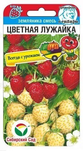 Семена земляники Цветная лужайка Сибирский сад 10шт