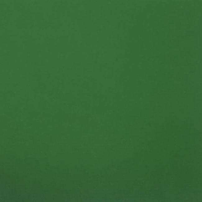 Hotmark Пленка для термопереноса на ткань Revolution темно-зеленая 310