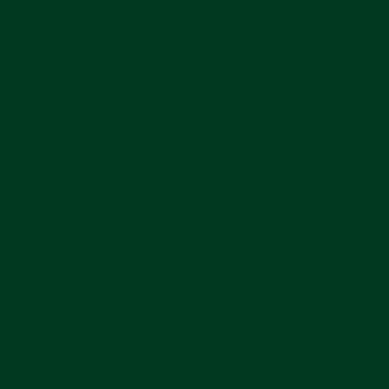 Flex Термотрансферная пленка зеленая Flock (0.5х1 м)