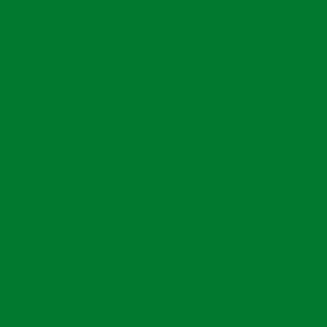 ACE Термотрансферная плёнка FLOCK-301 (0011), зеленый