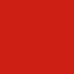 ACE Термотрансферная плёнка FLOCK-301 (008), красный