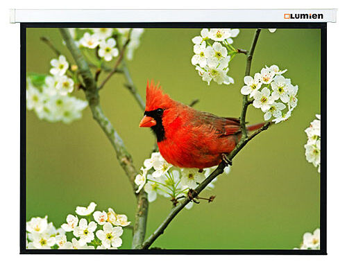 Проекционный экран Lumien Master Picture 213x213 MW FiberGlass (LMP-100105)