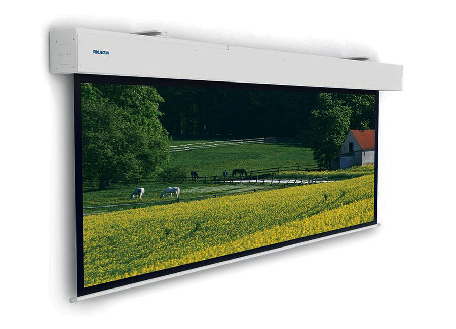 Проекционный экран Projecta Elpro Large Electrol 201x350 см Matte White (10100331)