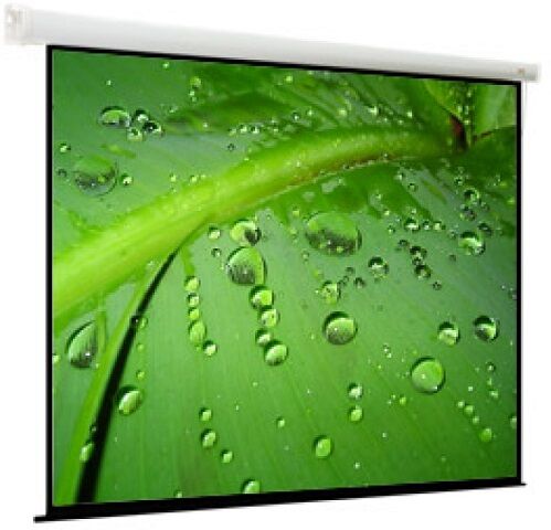 Проекционный экран ViewScreen Breston 203x203 (1:1) (EBR-1104)