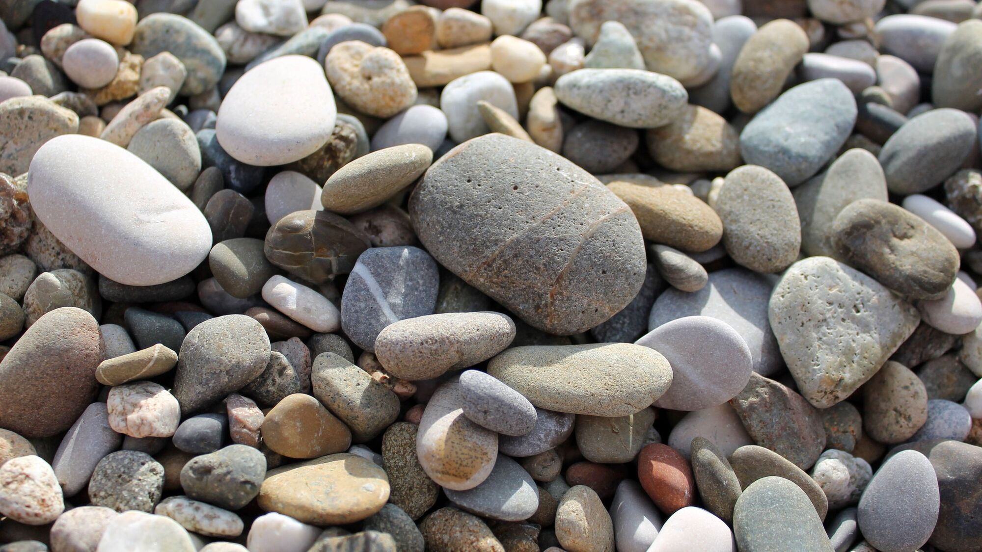 Галька-песок морская для комнатных и садовых растений