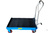 Гидравлическая платформенная тележка AE&T 750 кг TLF-75 #3