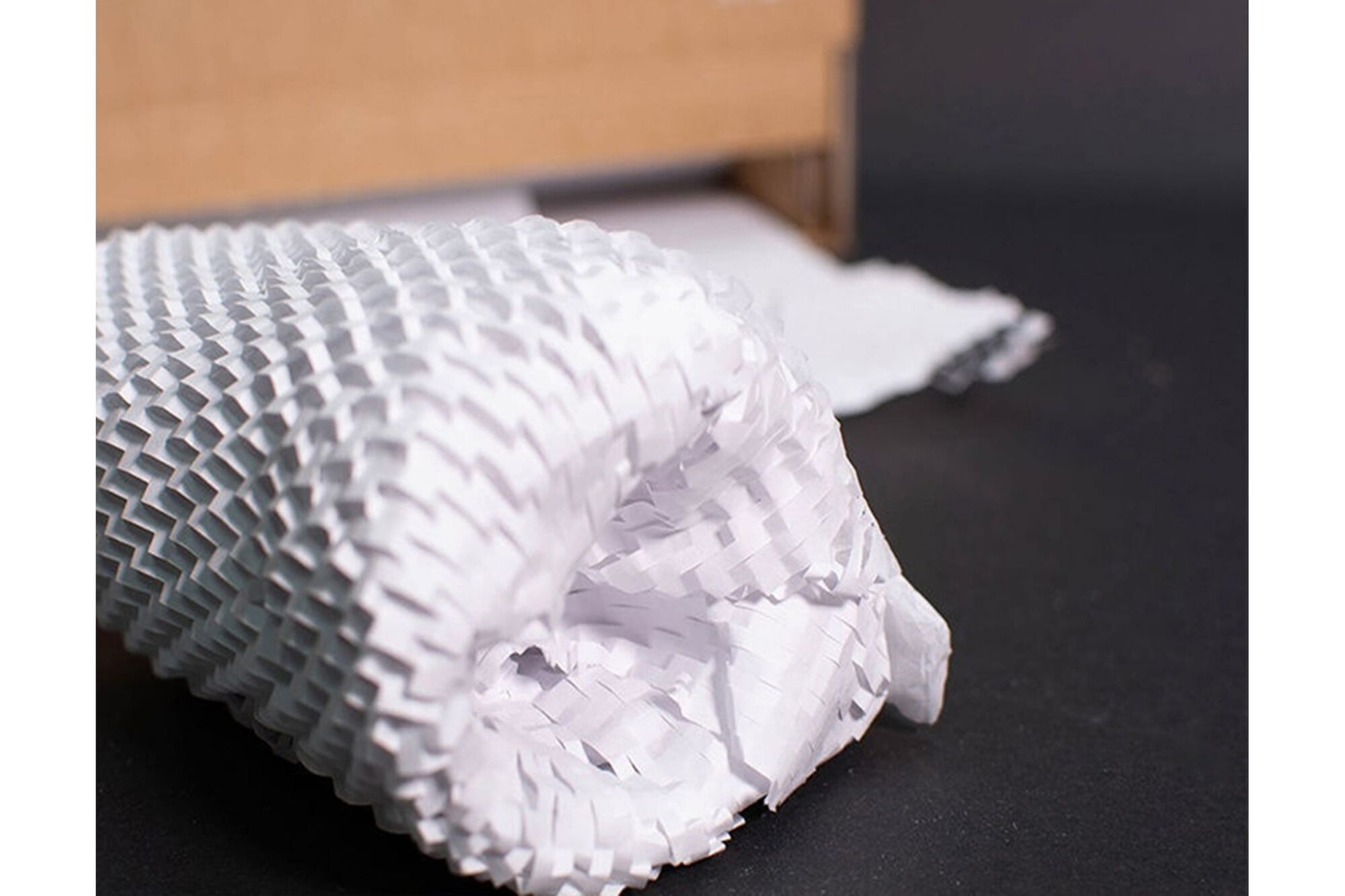 Двухслойная упаковочная крафт-бумага Ranpak Geami WrapPak EX Mini Wh белая/белая 1213410 5