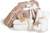Двухслойная упаковочная крафт-бумага Ranpak Geami WrapPak EX Mini Wh белая/белая 1213410 #6